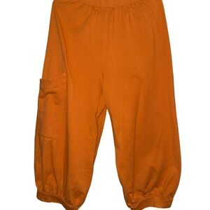 Bryn Walker NWT Wylie Pant CASBAH Pants Pocket Pants Size Small